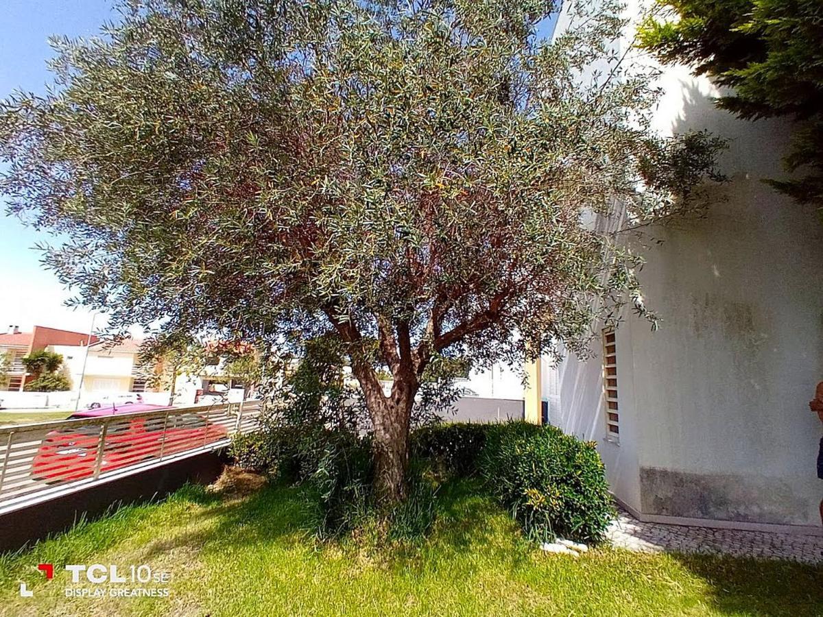Sesimbra Charming Pool Duplex Bbk & Garden Villa Bagian luar foto